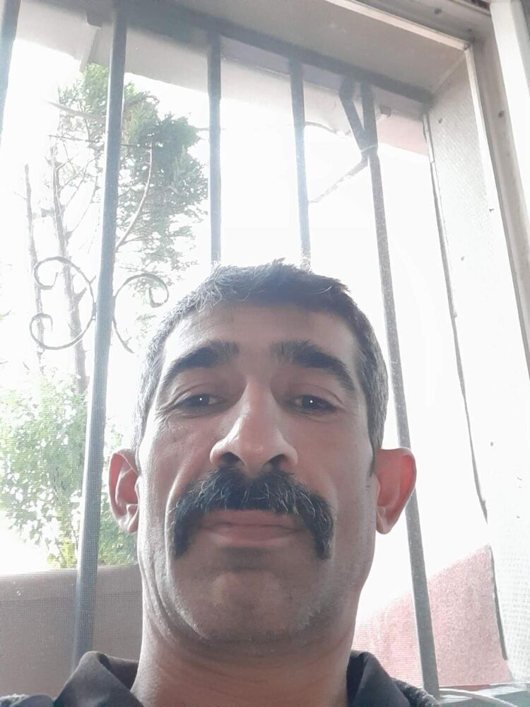  40907662  , 44 ,    