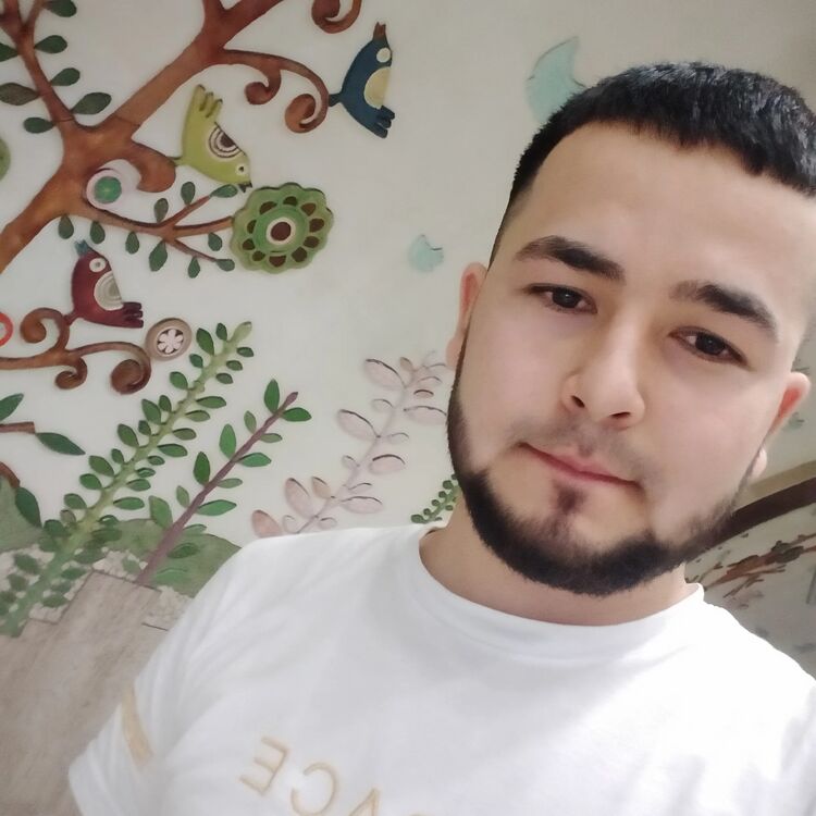  51302662  , 25 ,    -
