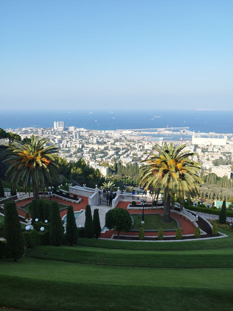 ���� 41767992 ������� ����, 29 ���, ���� ���������� � �������������