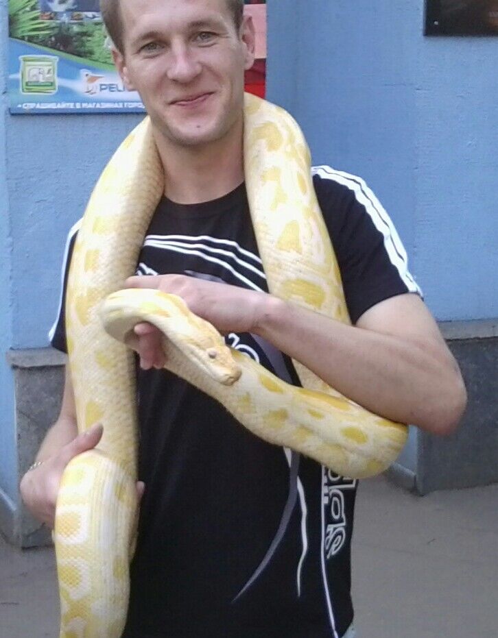 ���� 4180572 ������� �������, 39 ���, ���� ���������� � ���������