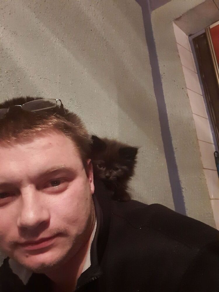 ���� 25046352 ������� ����, 35 ���, ���� ���������� � ������