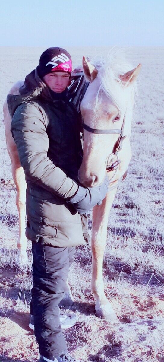 ���������� ���������, ���� ������� ����, 33 ����, ������������ ��� ������, ����� � ���������