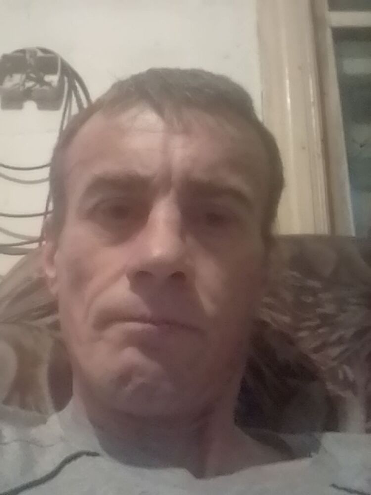  37513822  , 46 ,    -