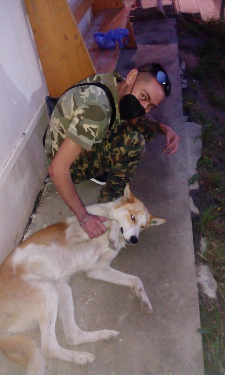 ���������� ������, ���� ������� ����, 38 ���, ������������ ��� ������, ����� � ���������