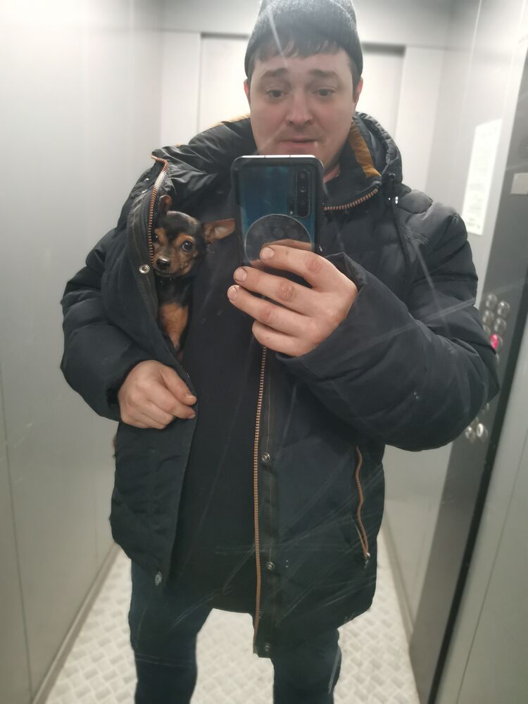 ���������� ����������, ���� ������� �����, 42 ����, ������������ ��� ������, ����� � ���������