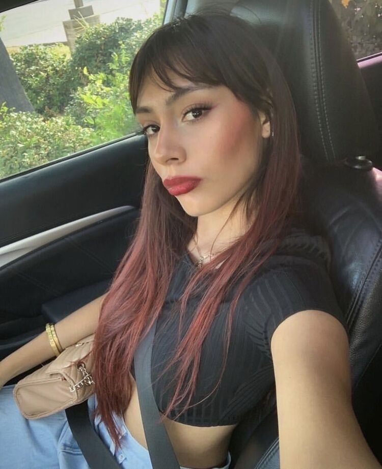 ���� 50403022 ������� ����, 31 ���, ���� ���������� � ���������