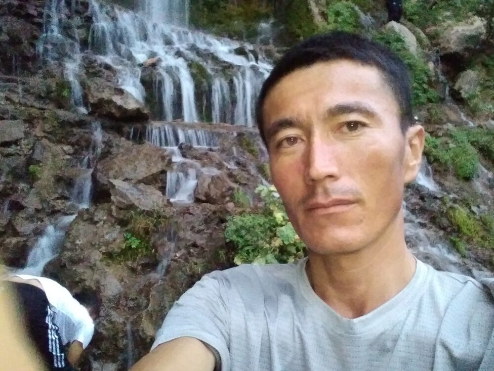 ���� 35931872 ������� ������, 37 ���, ���� ���������� � �����-����������