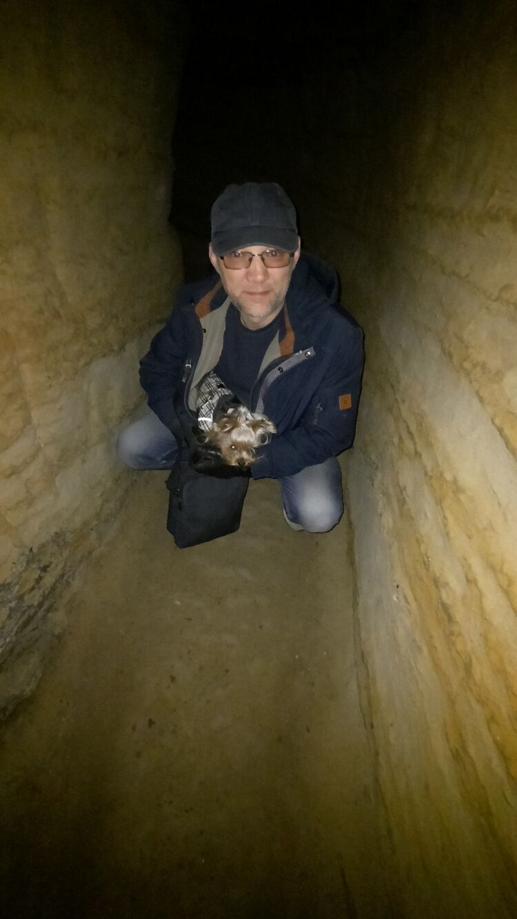 ���������� ��������, ���� ������� �������, 50 ���, ������������ ��� ����� � ���������, c�������� ���������