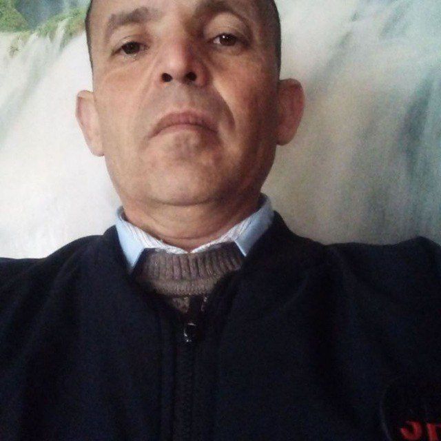  35616262  , 40 ,    