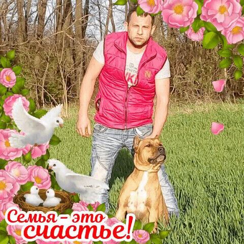 ���� 29079882 ������� GOLDIN, 40 ���, ���� ���������� � �������-��-����