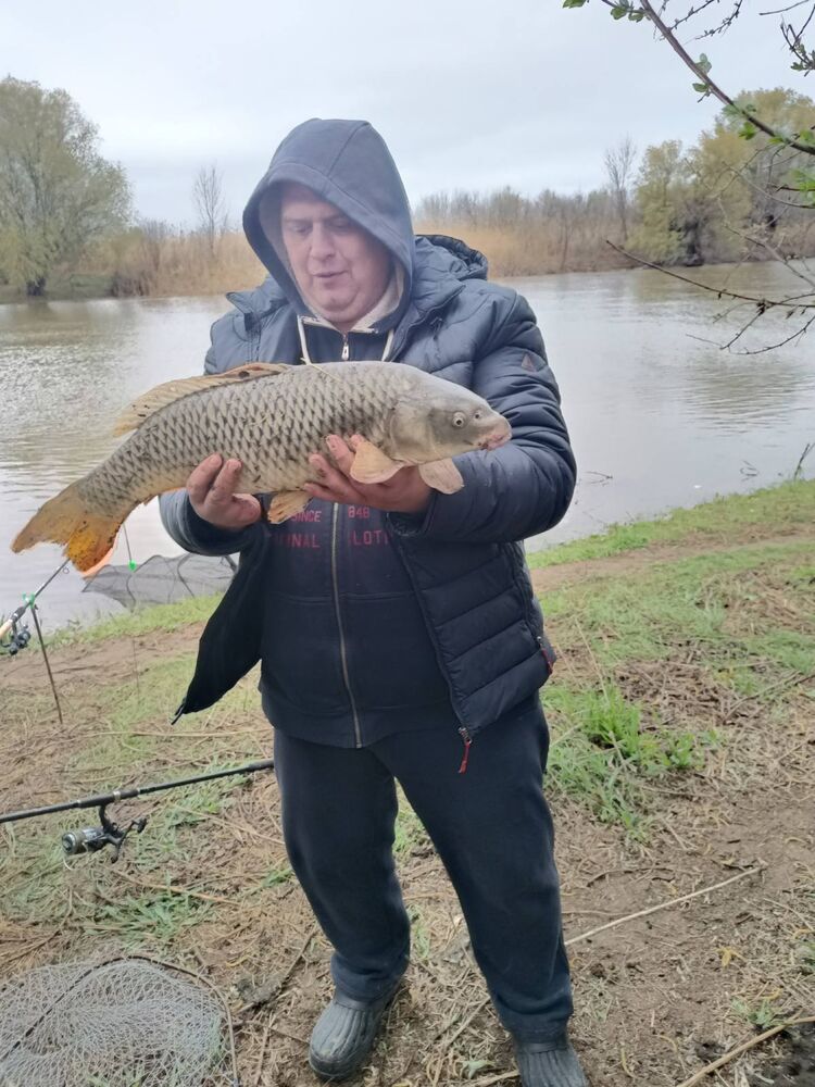 ���� 35225002 ������� �������, 53 ����, ���� ���������� � ������