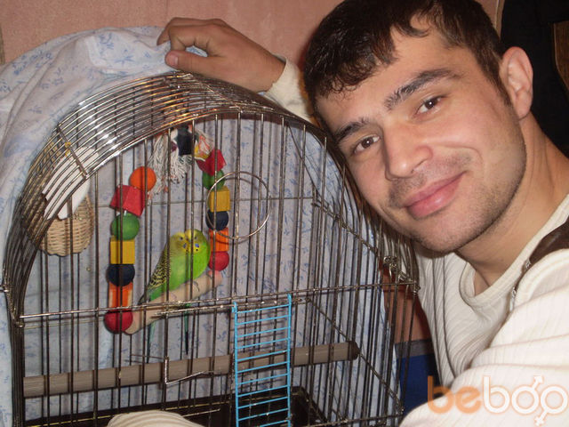 ���������� ������, ���� ������� 89060521448, 43 ����, ������������ ��� ����� � ���������, c�������� ���������