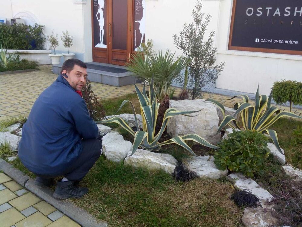 ���� 15993242 ������� �����, 46 ���, ���� ���������� � ����������