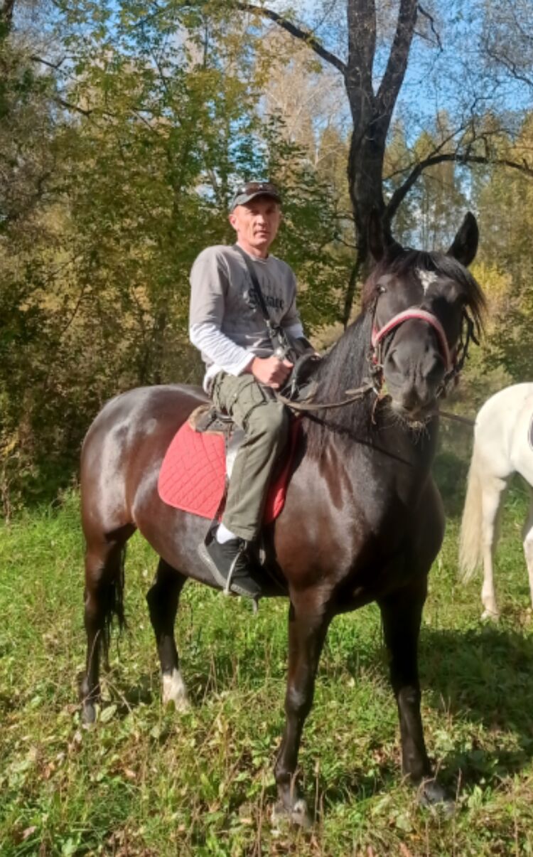 ���������� �����������, ���� ������� �������, 44 ����, ������������ ��� ������, ����� � ���������, c�������� ���������, ���������