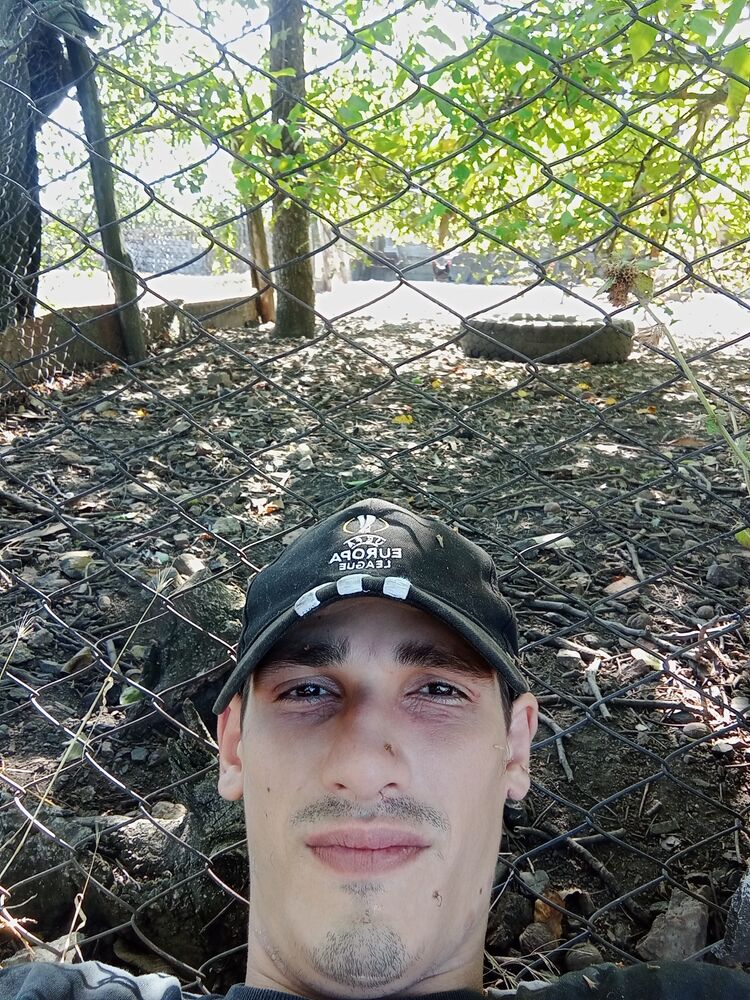  53698582  Dagger, 25 ,    