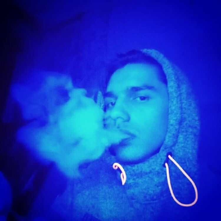  22456022  , 29 ,    