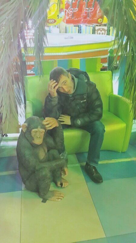 ���� 24780912 ������� �������, 50 ���, ���� ���������� � �����