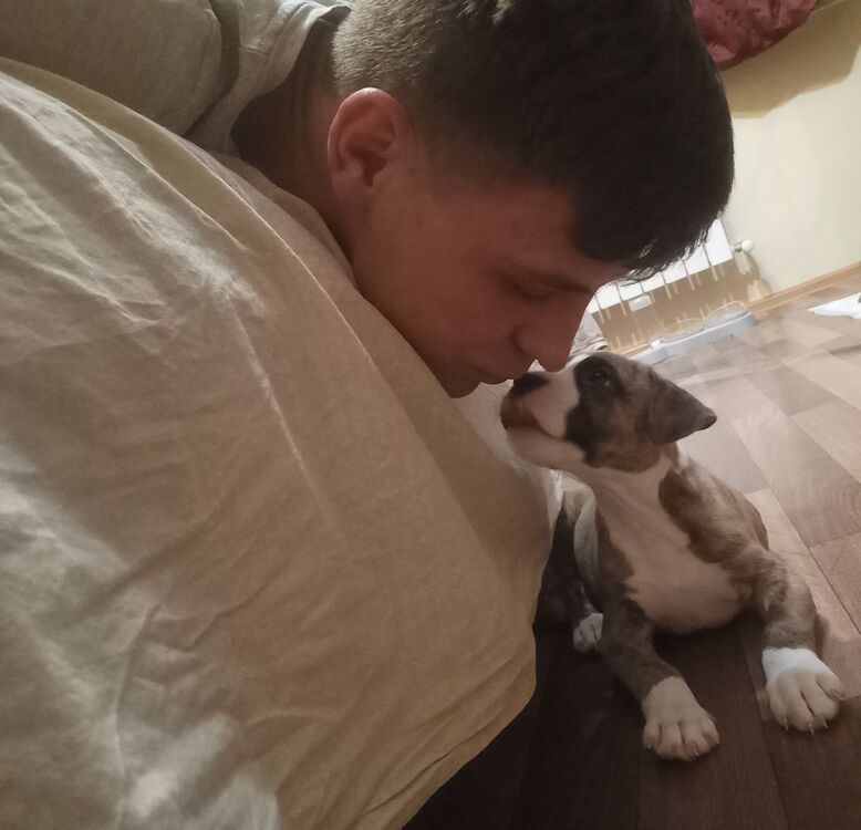  33785382  , 29 ,    --