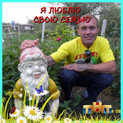  42960282  , 50 ,    