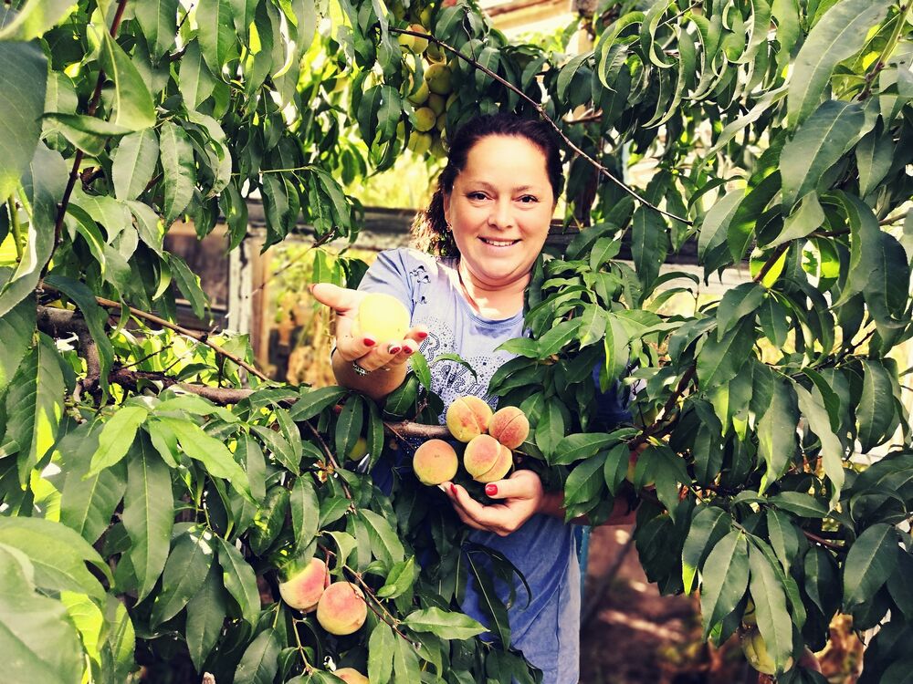 ���� 23903672 ������� ���������, 40 ���, ���� ���������� � ������ ���������