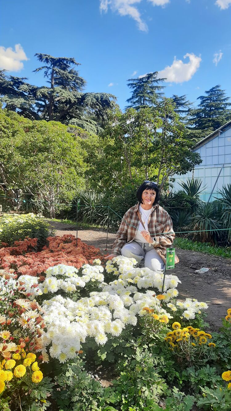 ���������� �����������, ���� ������� ������, 59 ���, ������������ ��� c�������� ���������