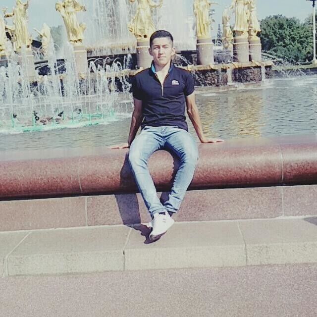  52805672  , 26 ,    