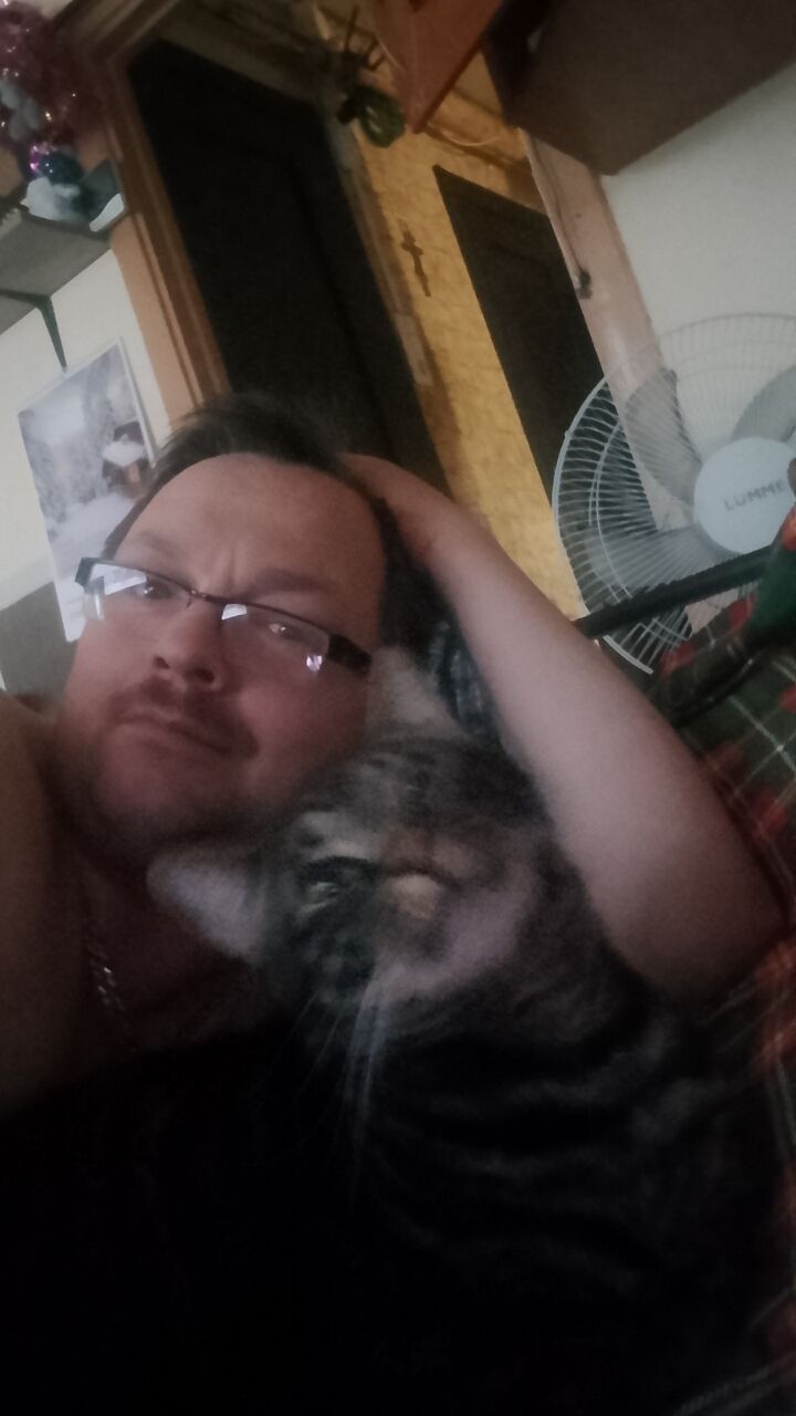 -,   , 41 ,   ,   