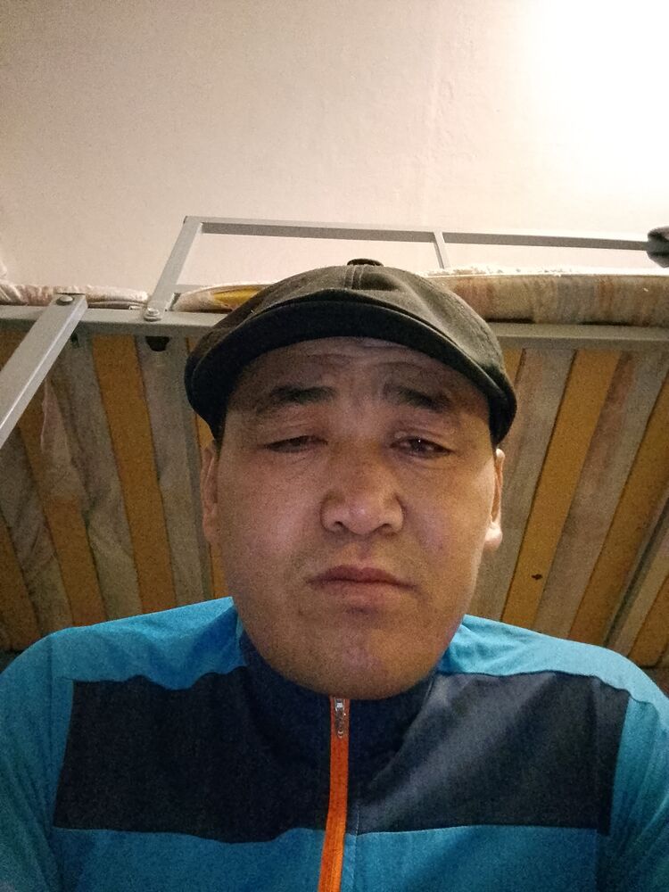  50348582  , 37 ,    