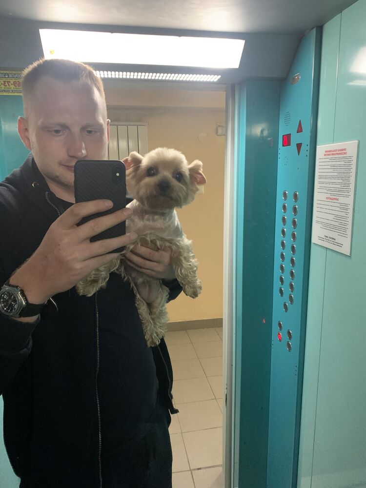 ���� 44071422 ������� �������, 29 ���, ���� ���������� � �����������