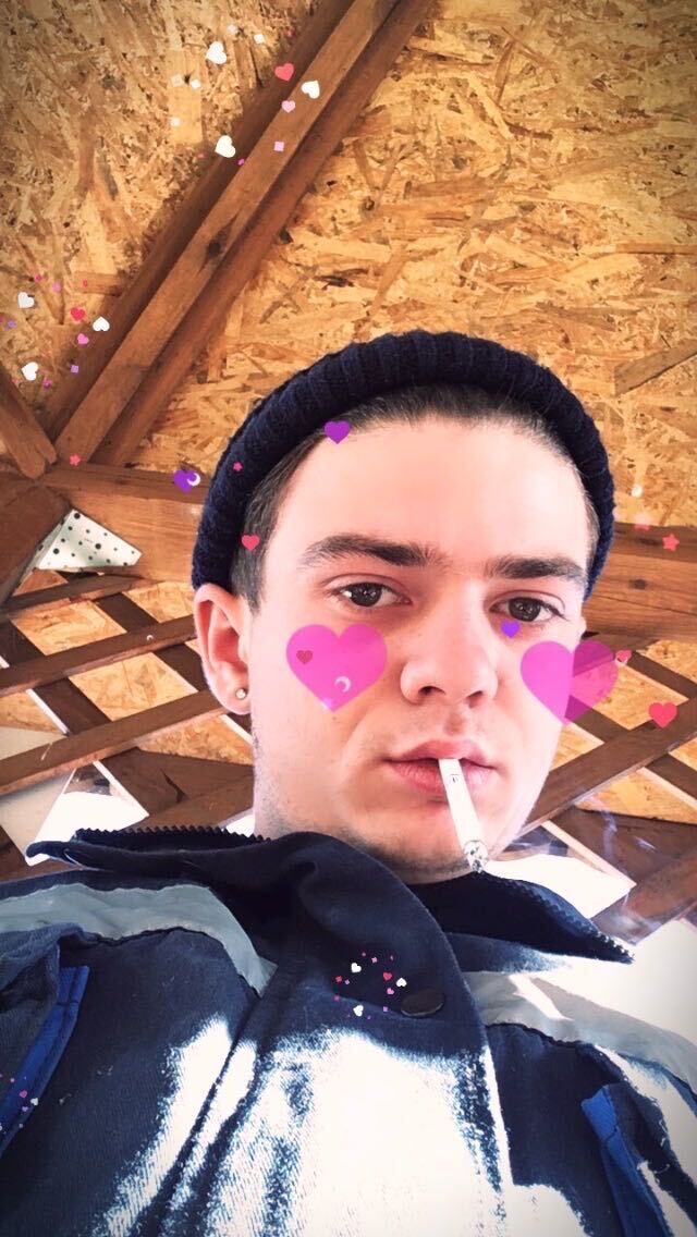 ���� 31508642 ����� ������, 24 ����, ���� ���������� � ������