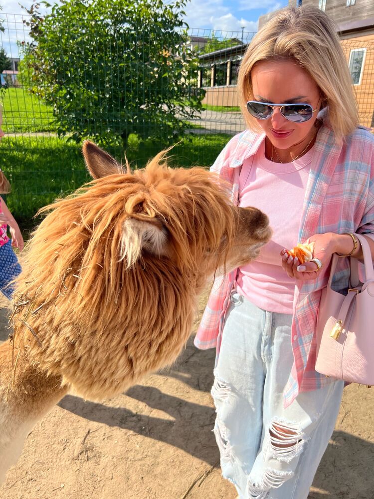 ���������� ������, ���� ������� �����, 39 ���, ������������ ��� c�������� ���������