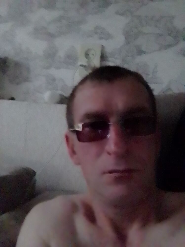  39799502  , 43 ,    
