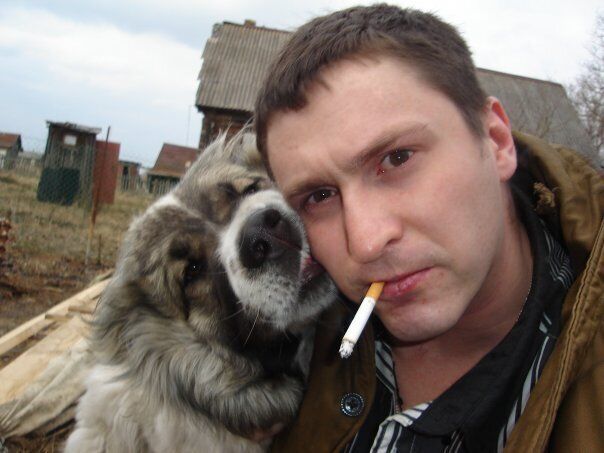  38456912  , 48 ,    -