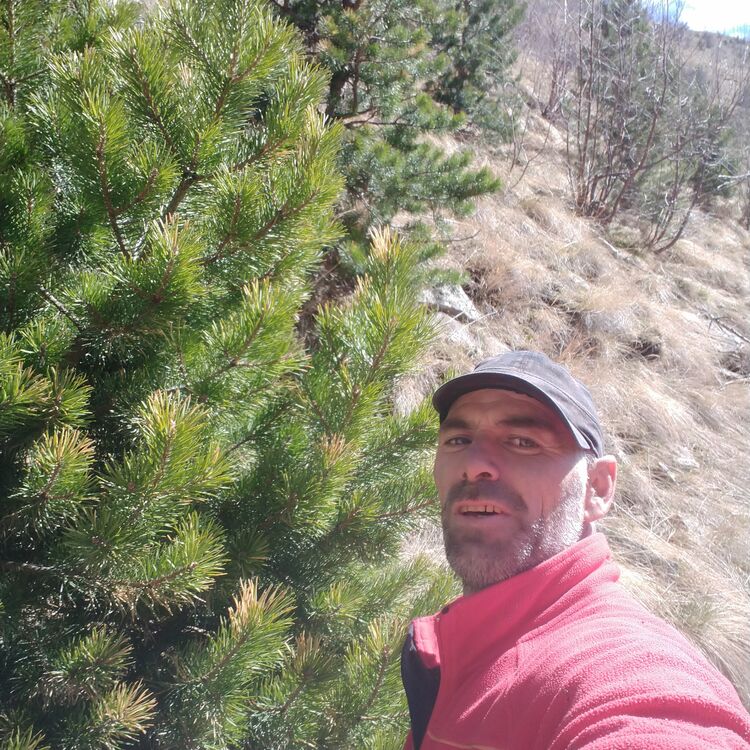 ���� 26380272 ������� ��������, 45 ���, ���� ���������� � ���������