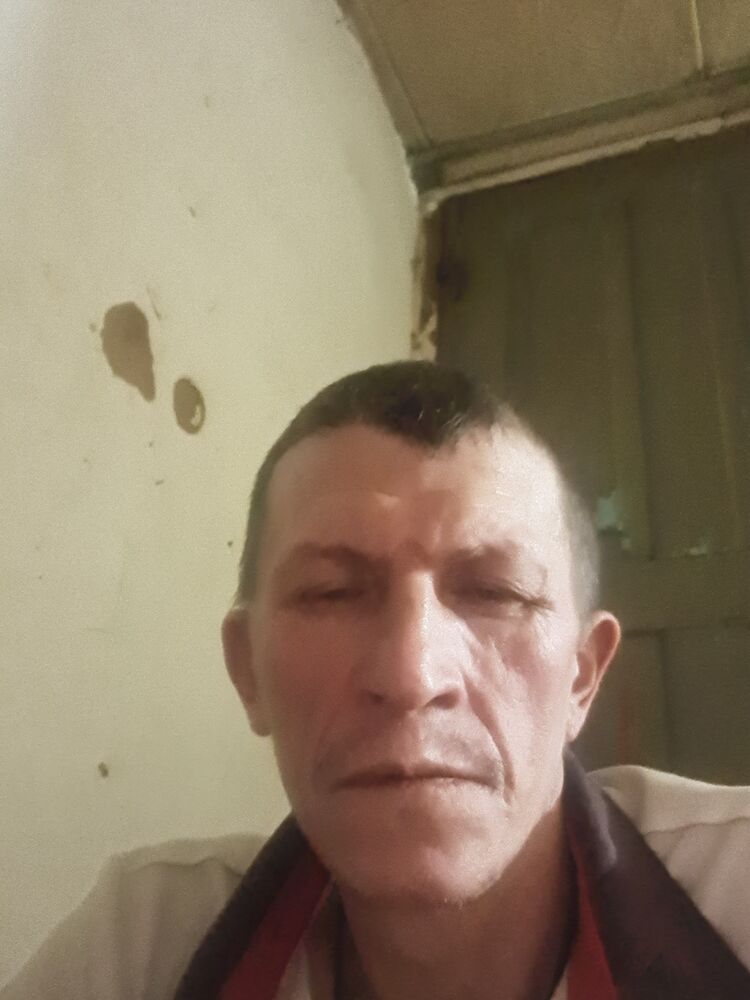  39676292  , 49 ,    