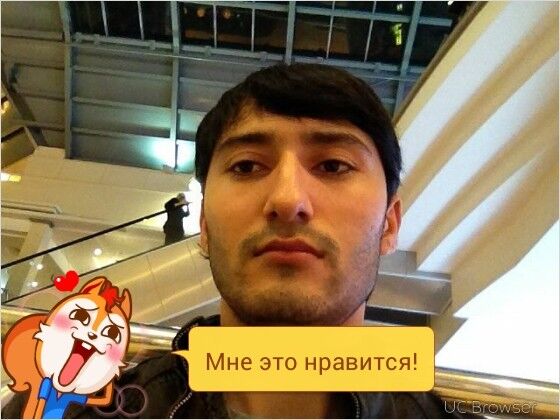  ,   Musa, 36 ,   ,   , c 