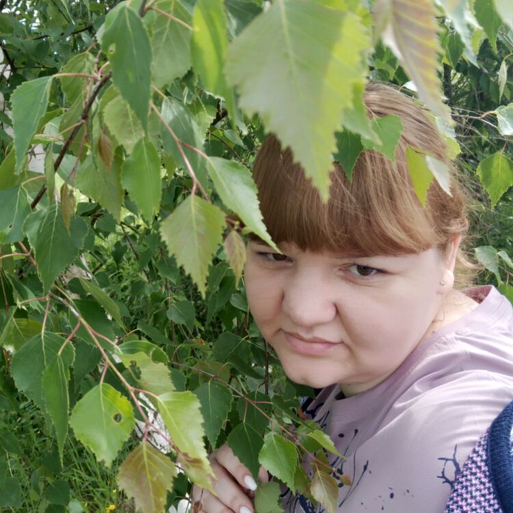  44051442  , 36 ,    -