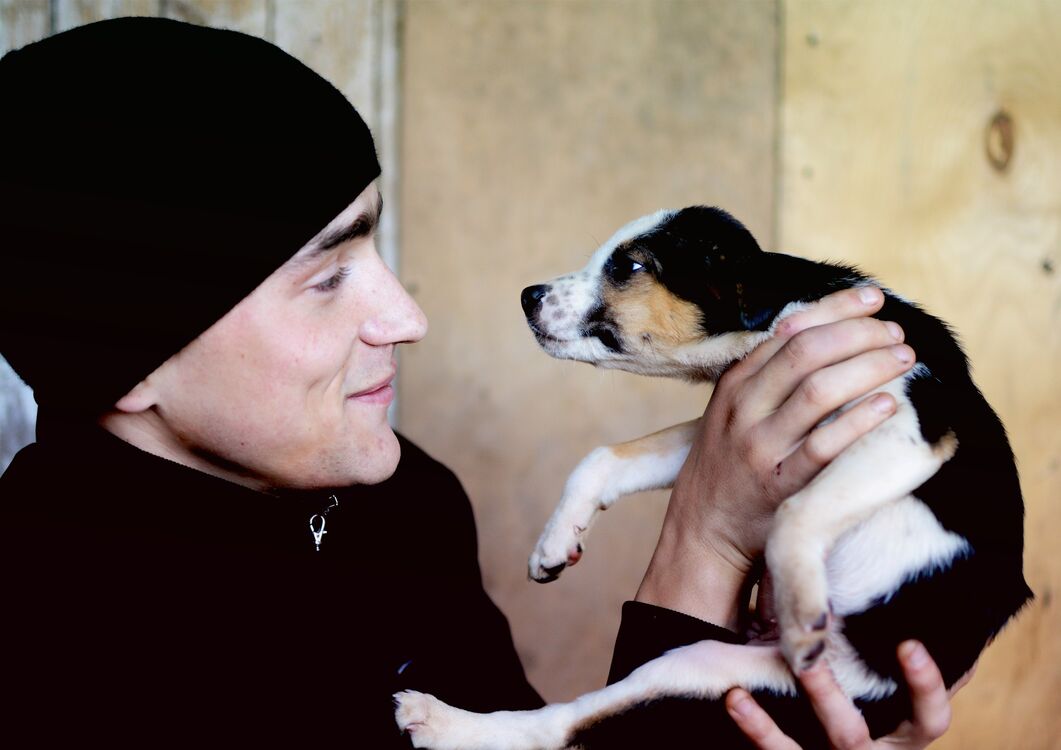  29769132  Andrey, 33 ,    