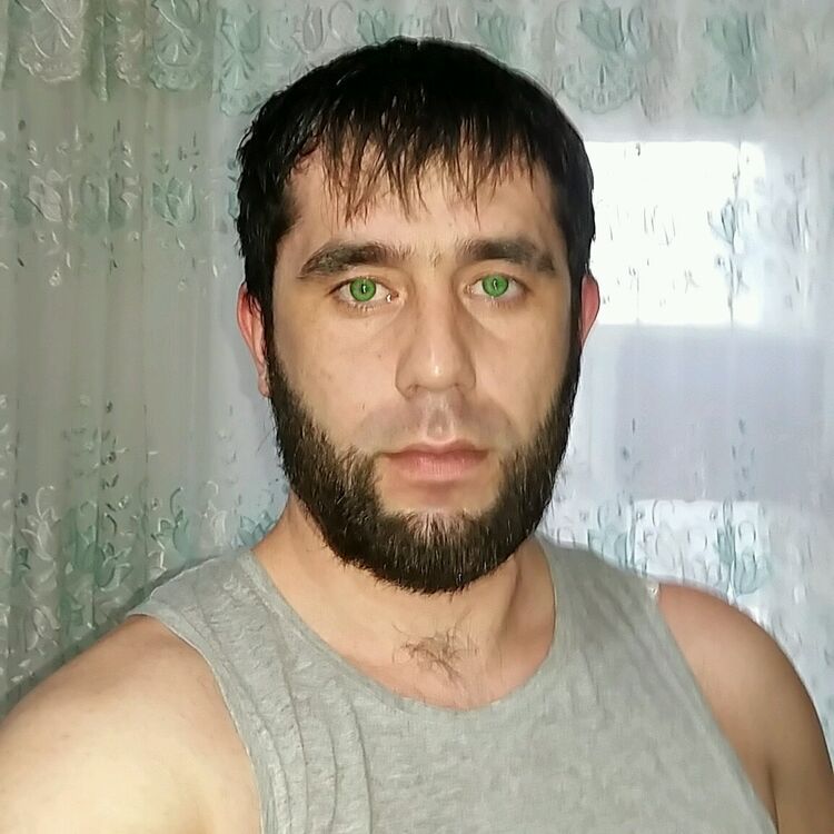  15280982  , 34 ,    