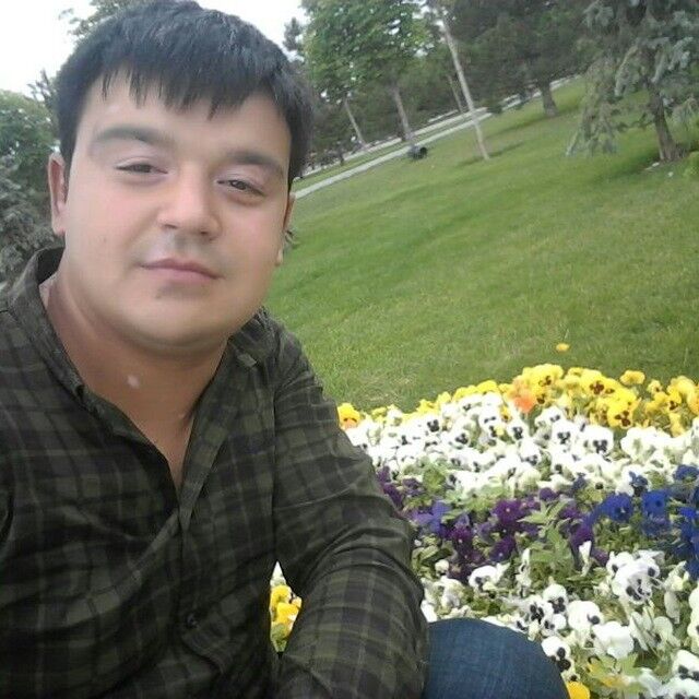  18074242  , 28 ,    