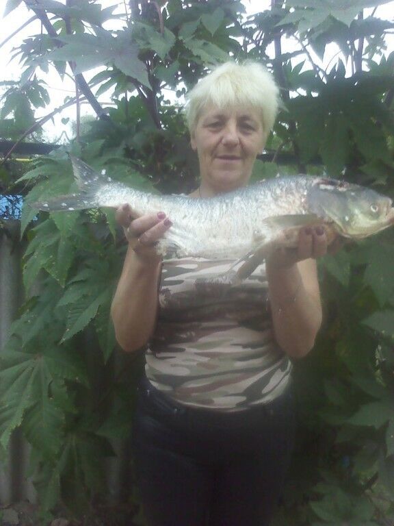 ���������� ���������, ���� ������� �������, 57 ���, ������������ ��� ������, ����� � ���������, c�������� ���������