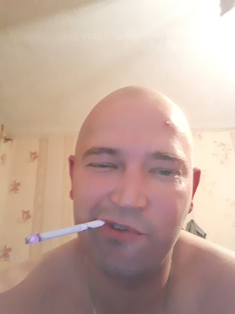  29506352  , 40 ,    