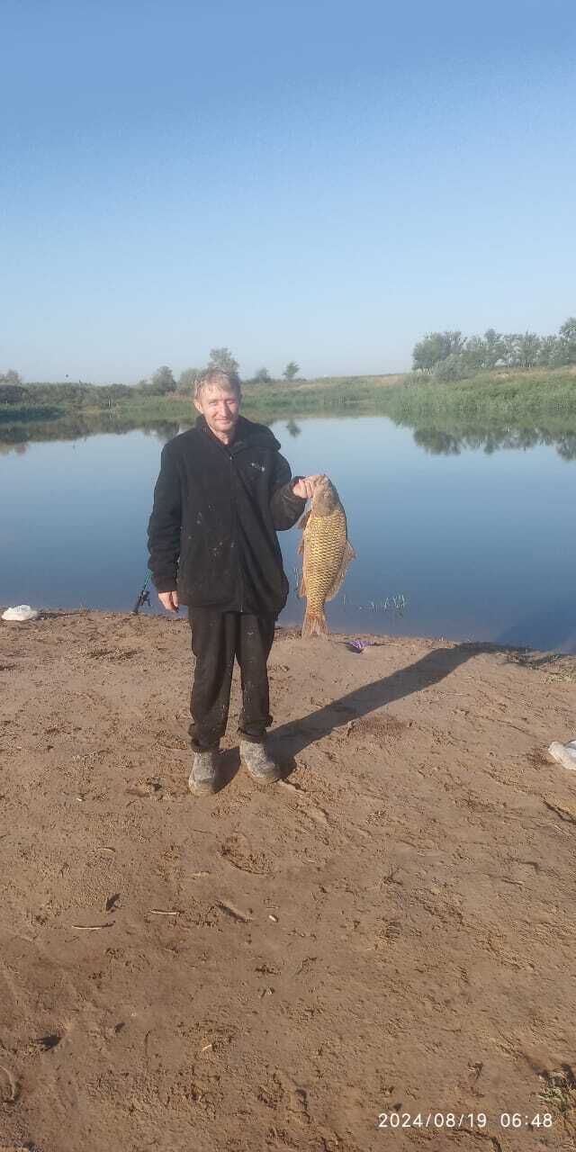 ���������� ������, ���� ������� ���������, 40 ���, ������������ ��� ������, ����� � ���������