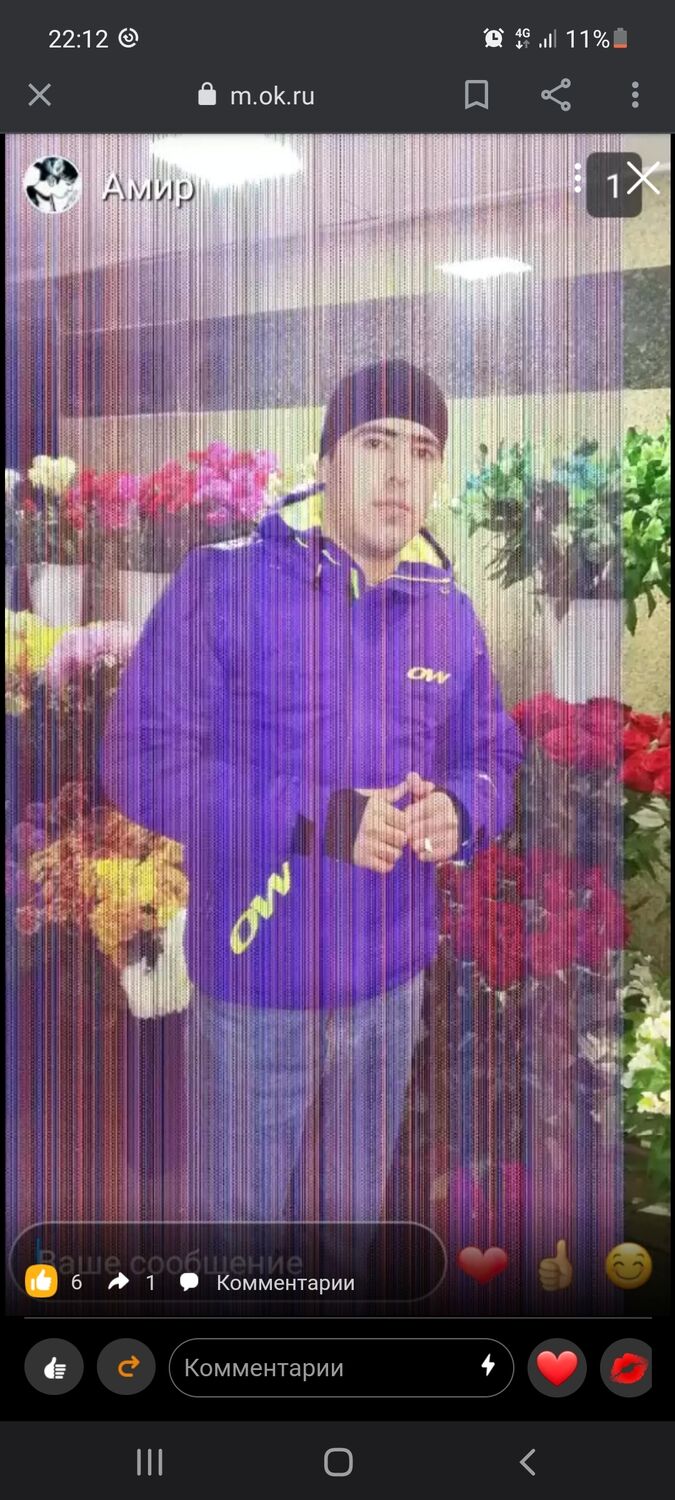  25294072  , 28 ,    