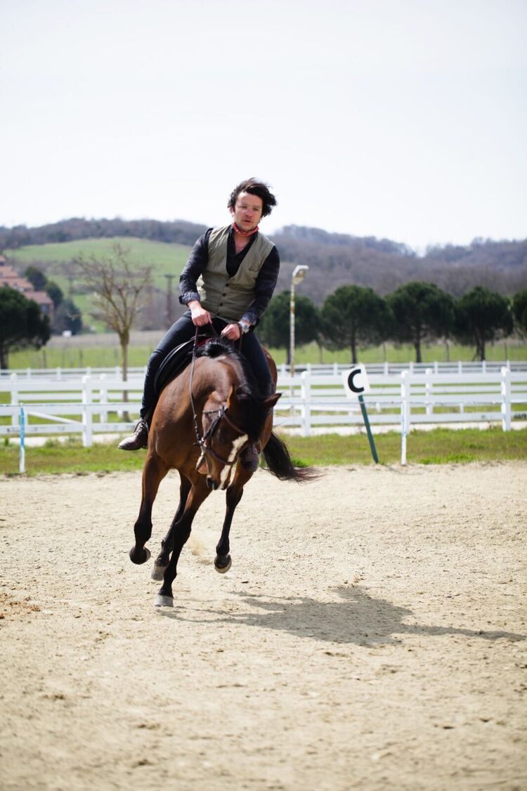 ���������� �������, ���� ������� Han, 33 ����, ������������ ��� ������, ����� � ���������