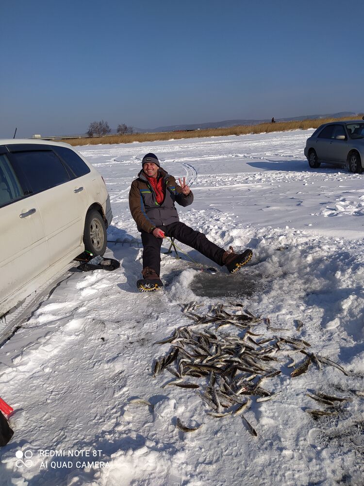 ���� 25659022 ������� ���������, 43 ����, ���� ���������� � ����-����������