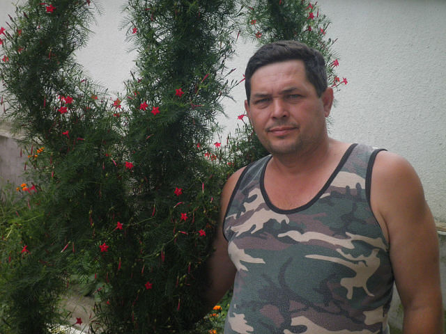  ,   , 53 ,   