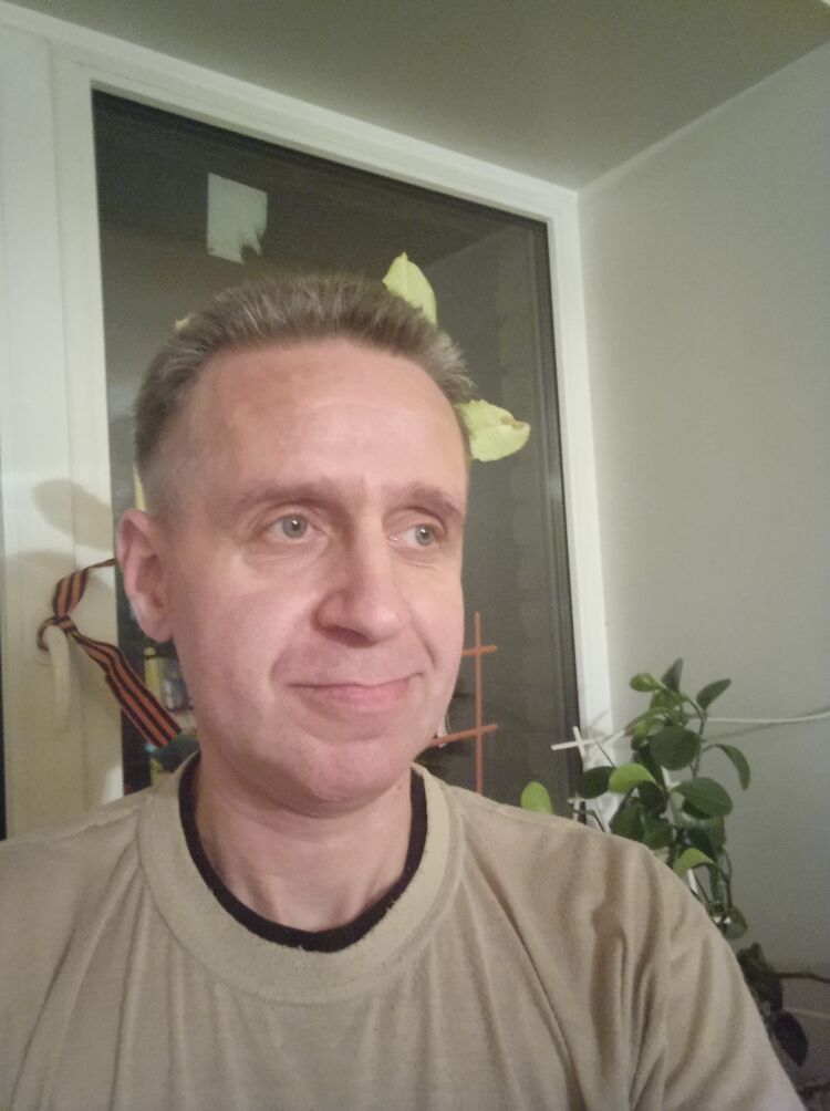  39860992  , 51 ,    