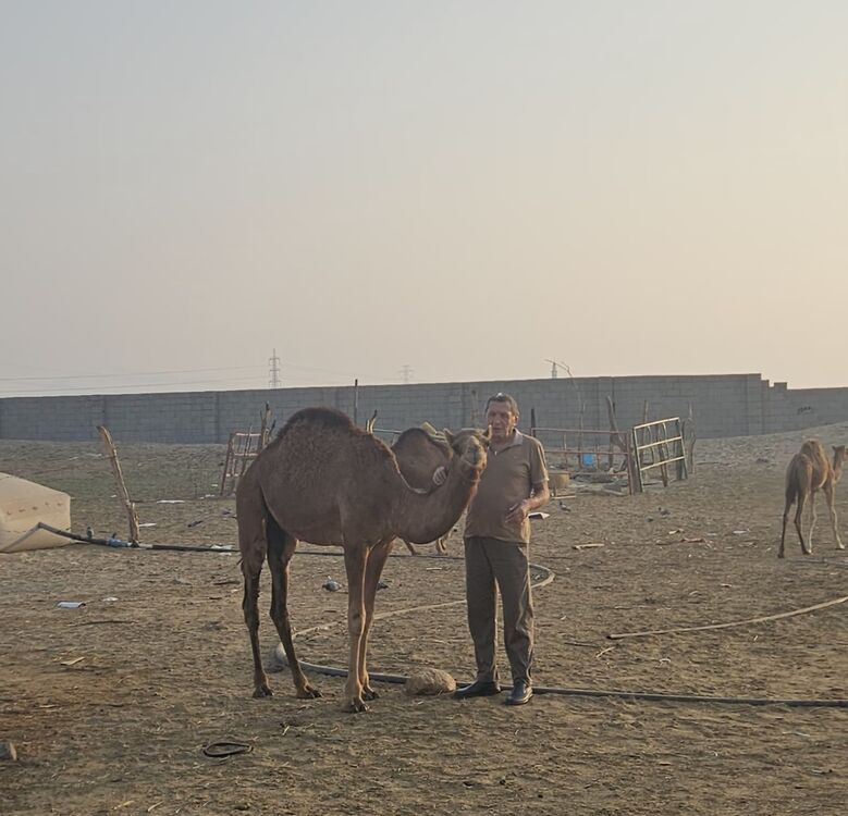 ���������� ������, ���� ������� ������, 57 ���, ������������ ��� ������, ����� � ���������