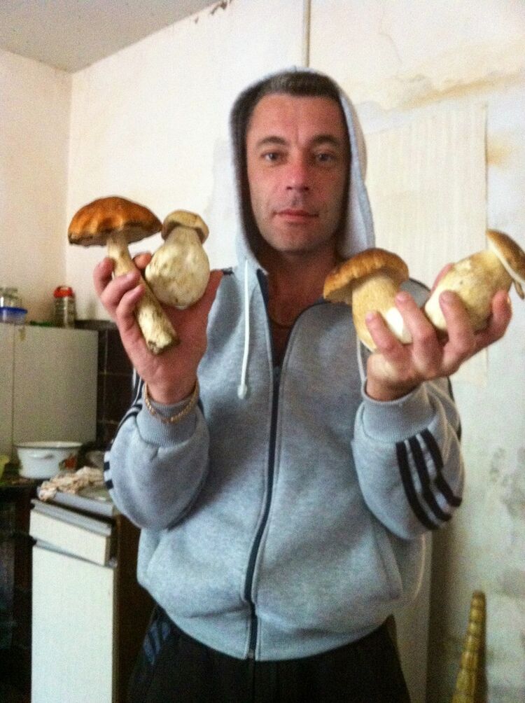 ���������� ������, ���� ������� �����, 52 ����, ������������ 